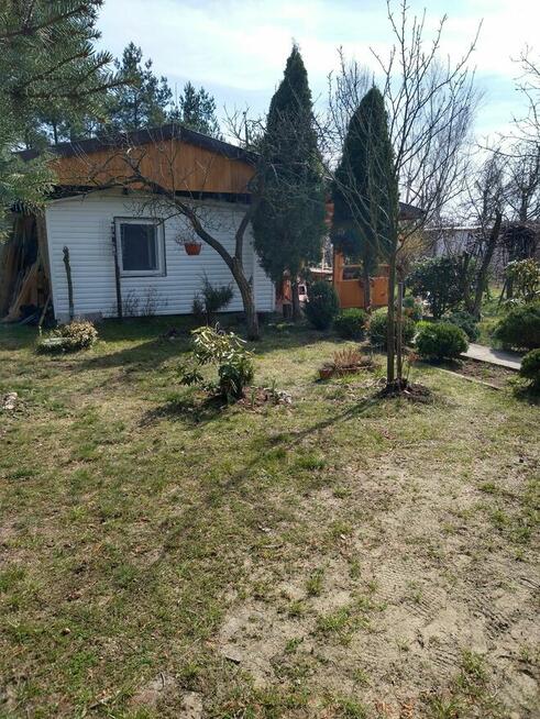 Domek na małym ROD (100 domków) Szczaki