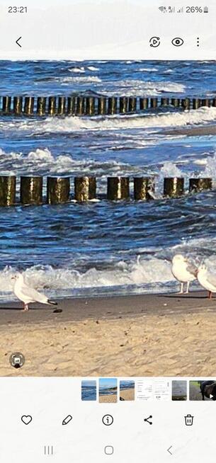 Dwa domy i holenderka nad morzem i jeziorem