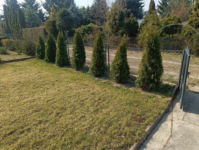 Sprzedam działkę ROD