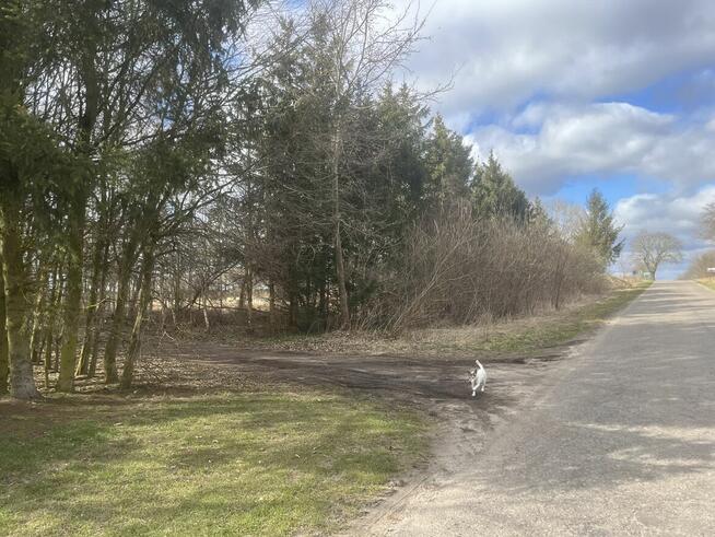 Sprzedam działkę Grzmiąca 9/1 , 5102m2 klasa N - nieużytek