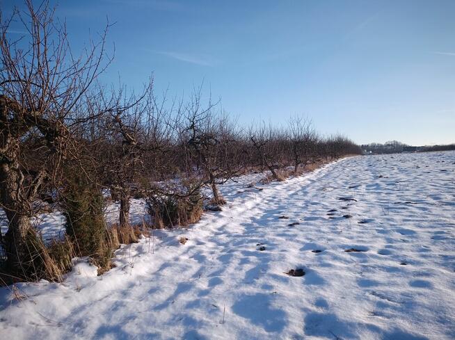 Wycinka drzew itp...