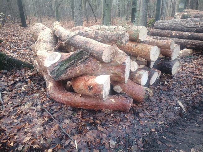 Wycinka drzew itp...