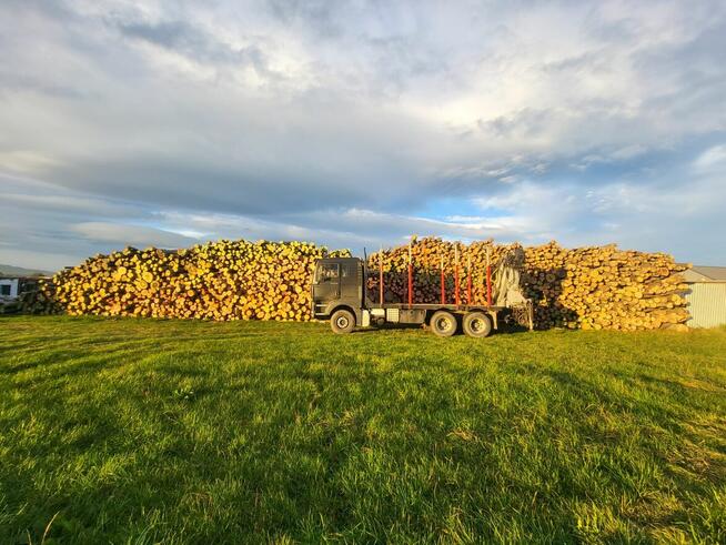 Drewno opałowe z dostawą