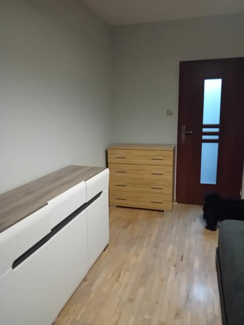 Pokój do wynajęcia