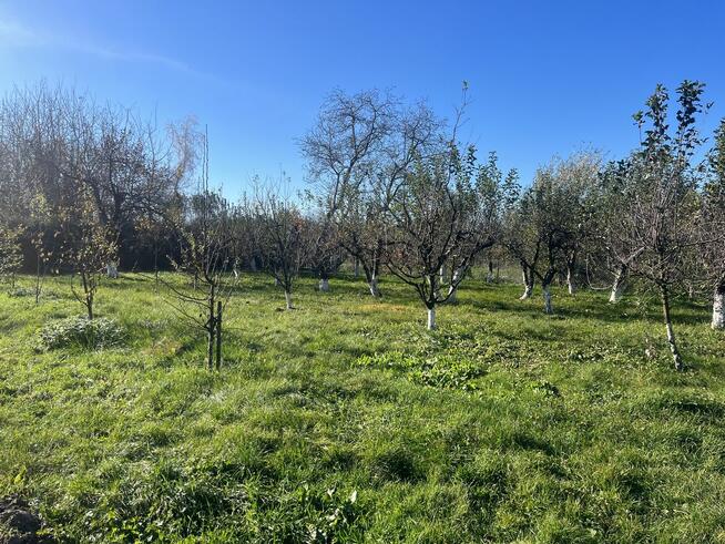 Przemyśl // Działka nad Sanem // 10 arów // Galeria Sanowa