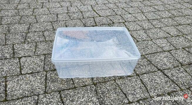 Pojemniki hodowlane dla ptasznika / skorpiona / jaszczurki