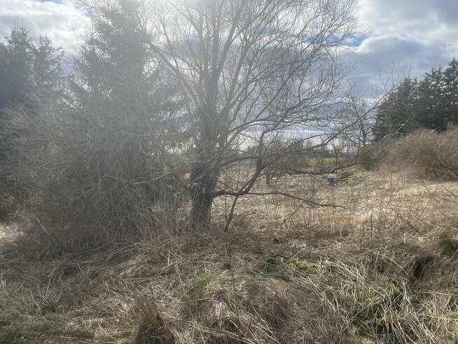 Sprzedam działkę Grzmiąca 9/1 , 5102m2 klasa N - nieużytek