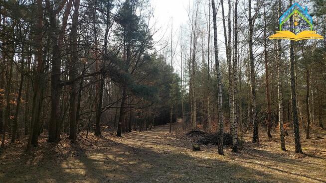 Działka budowlana Korzeniówka gm. Tarczyn