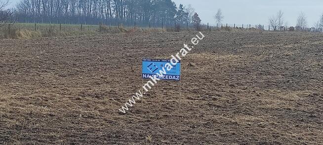 Działka z Warunkami Zabudowy 21800m² Media Okazja!