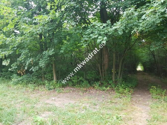 działka siedliskowa przy ulicy gminnej