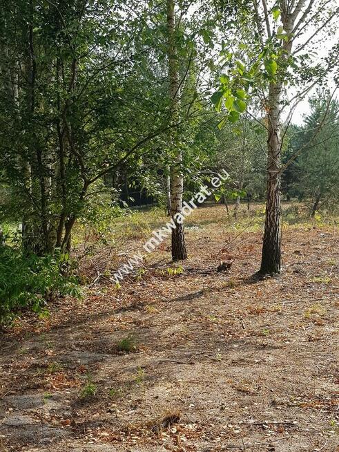Budowlana DZIAŁKA DO PODZIAŁU pod domy 2 lokalowe