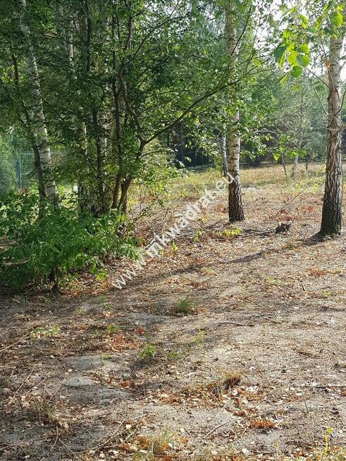 Budowlana DZIAŁKA DO PODZIAŁU pod domy 2 lokalowe