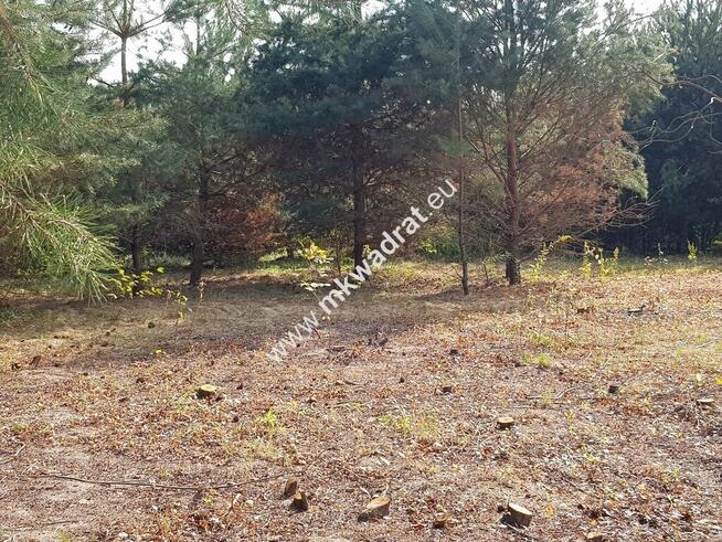 Budowlana DZIAŁKA DO PODZIAŁU pod domy 2 lokalowe