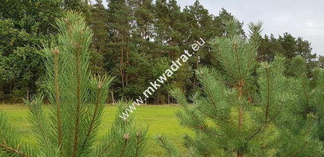 urokliwa działka przy lesie dom 2 -lokalowy