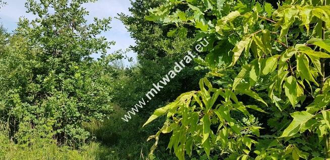 Osowiec gm. Żabia Wola | 1653m2 | narożna | MPZP