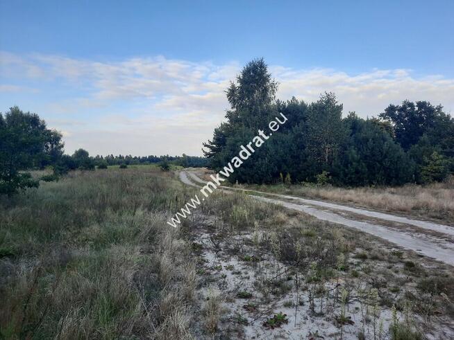 Duże działki w malowniczej okolicy i dobrej cenie.