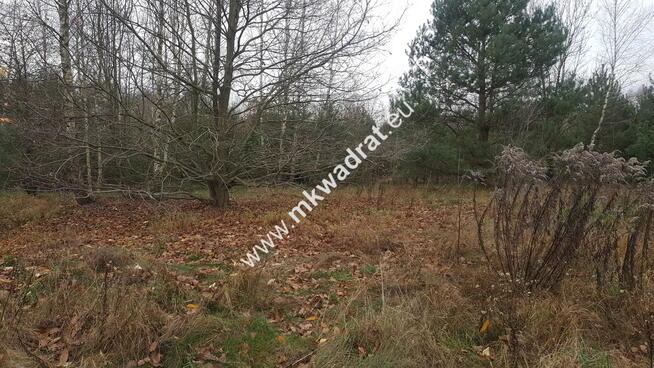Atrakcyjna działka w Osowcu