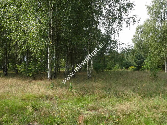 Działka dla inwestora