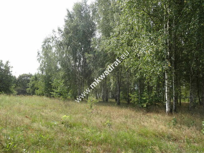 Działka dla inwestora