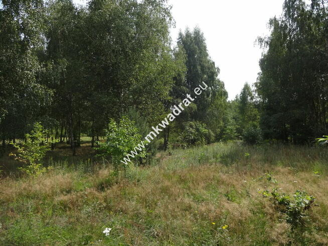 Działka dla inwestora