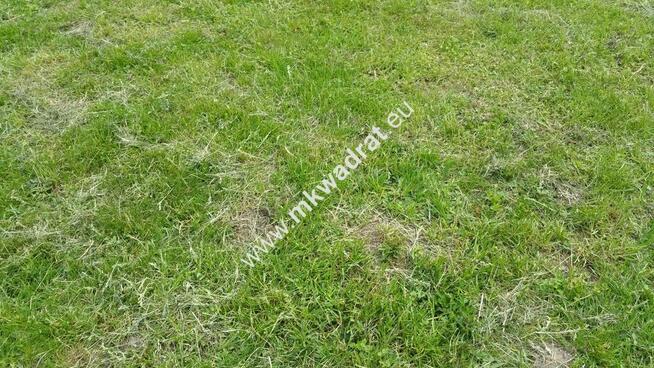 Fajne miejsce, ciekawa duża działka !