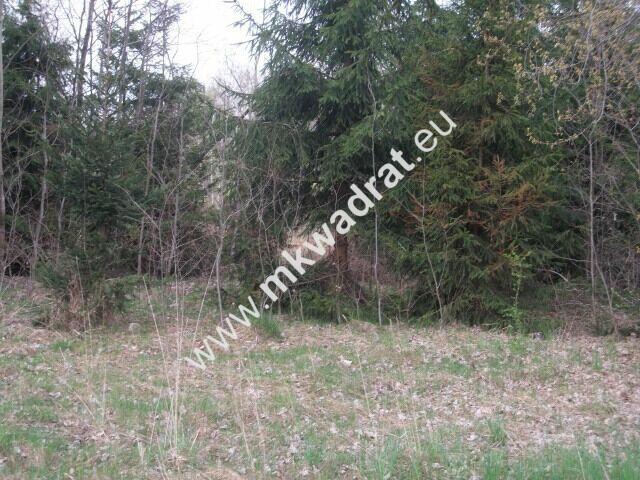 Działka budowlana 4700 m2 Grzmiąca