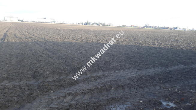Działka rolna do wynajęcia 9730 m² 0,46 gr.za m²