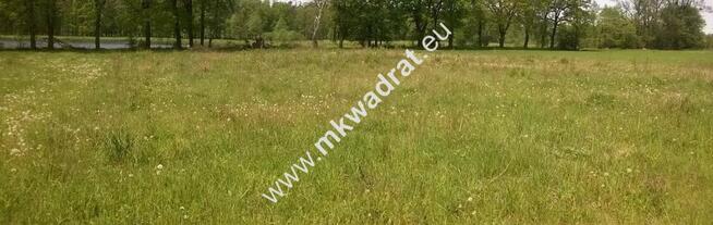 Działka budowlana 4740 m² Boża Wola