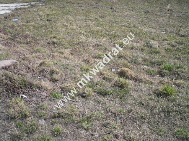 Przepiękna działka w Żelazowej Woli