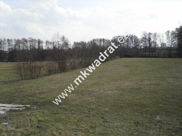 Przepiękna działka w Żelazowej Woli
