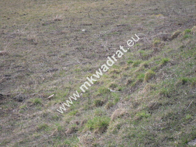 Przepiękna działka w Żelazowej Woli