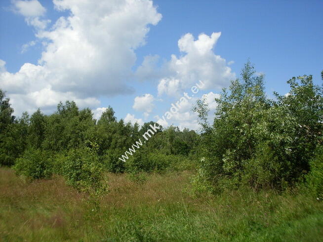 Super lokalizacja, piękny kształt.