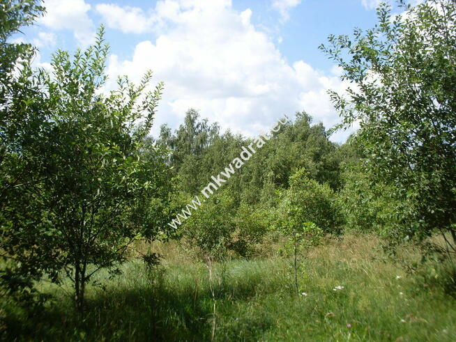 Super lokalizacja, piękny kształt.