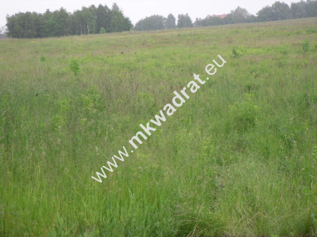 Działka w bardzo atrakcyjnym miejscu.