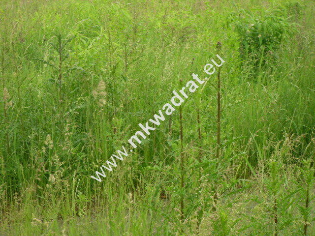 Działka z pozwoleniem na budowę