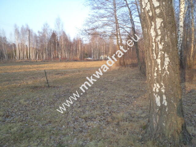 Działka budowlana! z lasem 1/3 pow. w m.Stare Budy