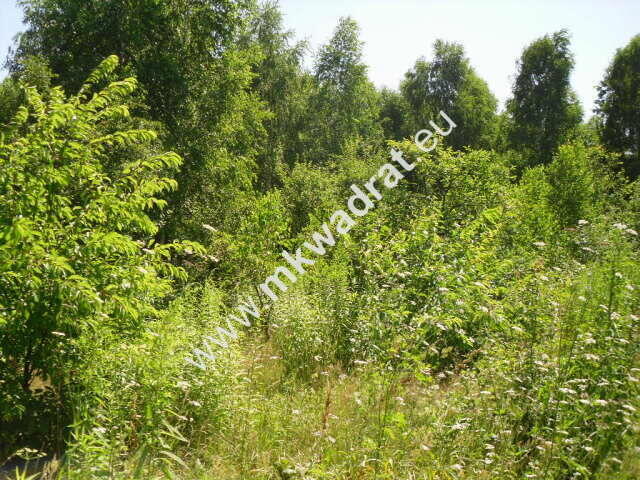 Działka budowlana w malowniczym Żółwinie