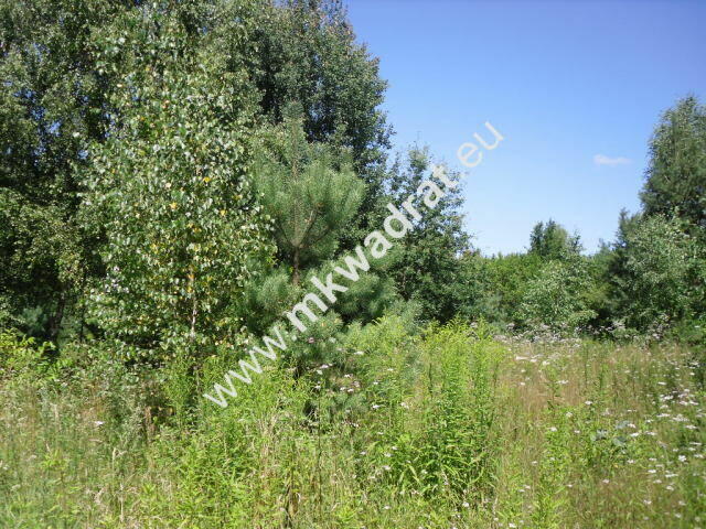 Działka budowlana w malowniczym Żółwinie