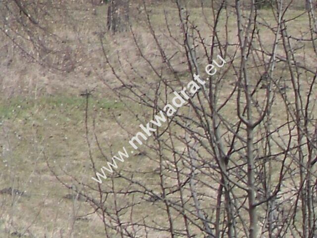 Zachwycająca działka w Żelazowej Woli