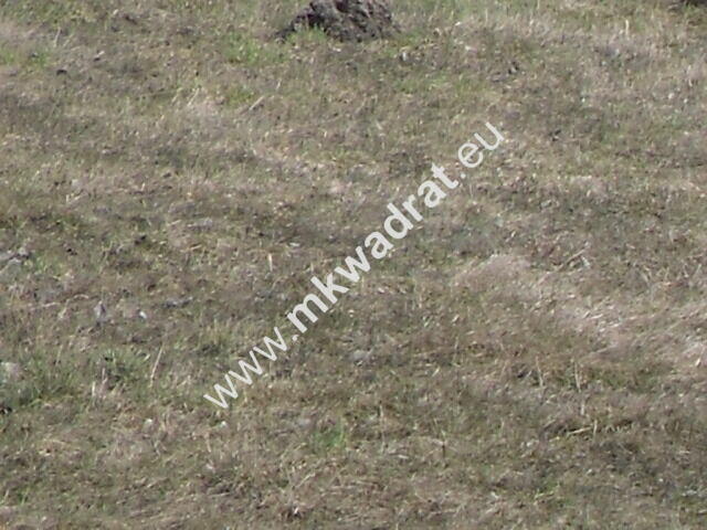 Zachwycająca działka w Żelazowej Woli