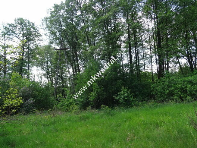 ⭐⭐⭐⭐⭐ Dwie działki 1900 + 3600m2 ⭐⭐⭐⭐⭐