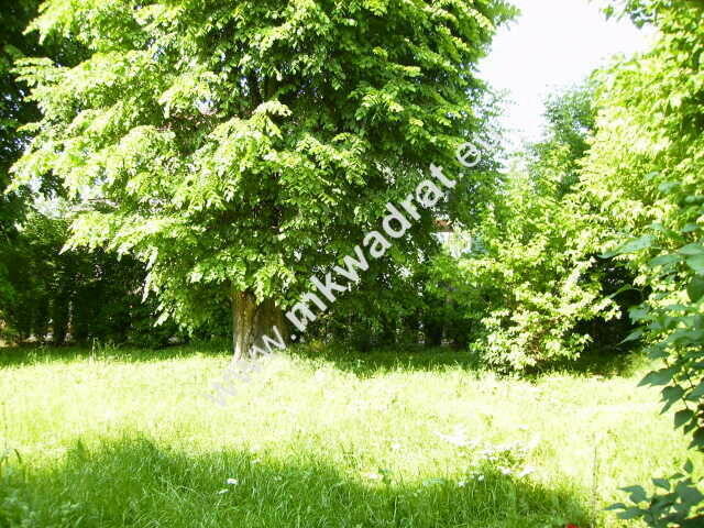 Dom z 4 mieszkaniami z ładną działką