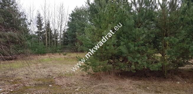 działka usługowa z MPZP 50x78