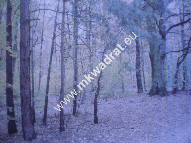 Działka w Otrebusach linia WKD