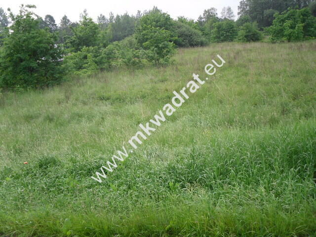 Działka Nowy wilków