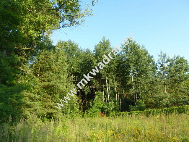 Działka Budy zaklasztorne