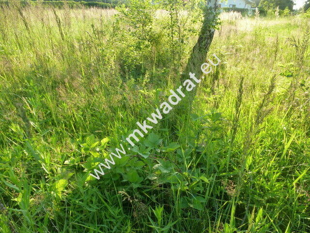 Działka Budy zaklasztorne