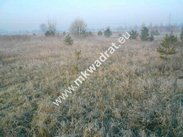 Teren pod inwestycje w gm.Teresin