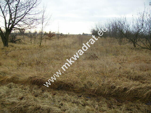 Działka Stary łajszczew