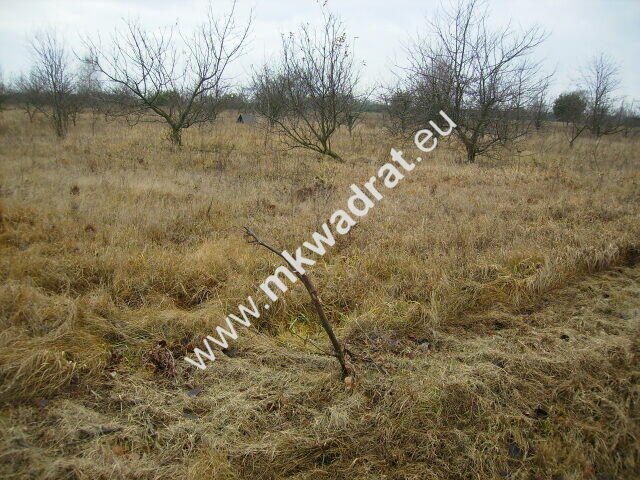 Działka Stary łajszczew